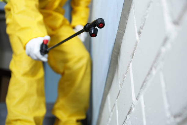 Real Estate Pest Inspections in West Carson, CA